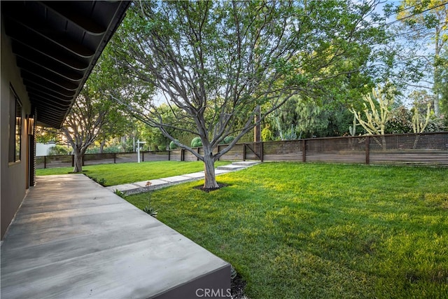 view of yard with a patio area