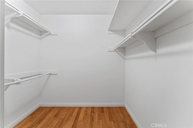 walk in closet featuring hardwood / wood-style flooring