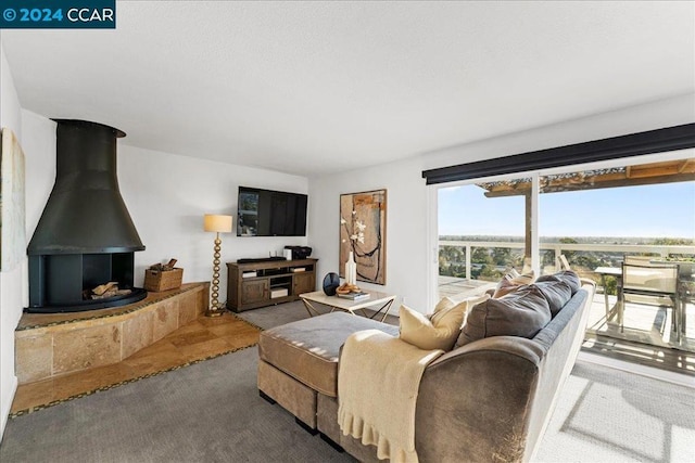 carpeted living room featuring a wood stove