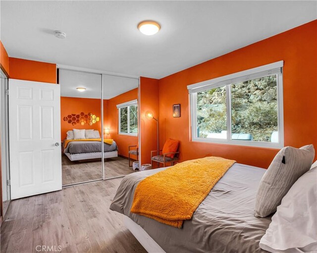 bedroom featuring a closet and wood finished floors