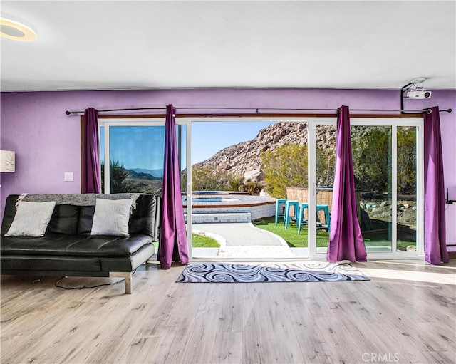 doorway with light hardwood / wood-style flooring, a mountain view, and a wealth of natural light