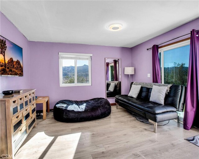 living area featuring wood finished floors