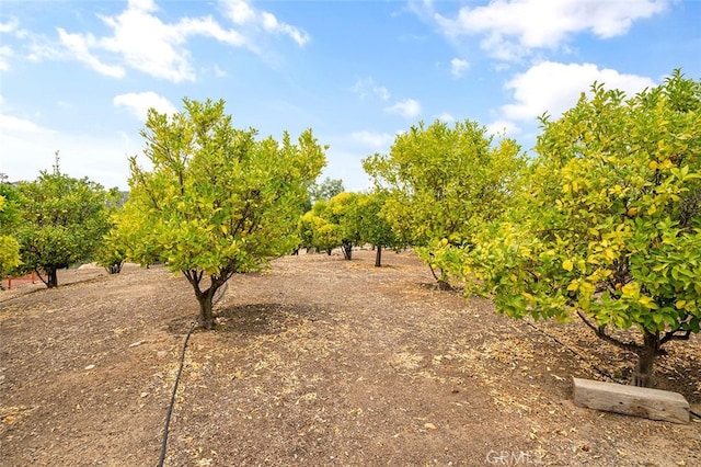 exterior space with a rural view