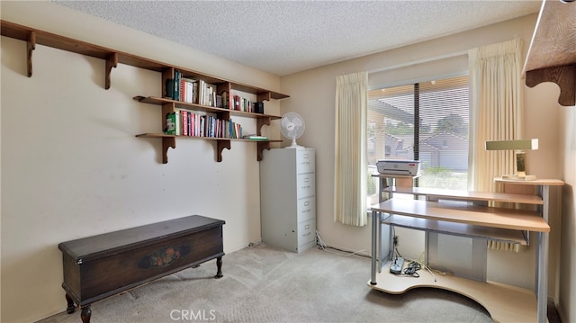 miscellaneous room featuring a textured ceiling and light colored carpet