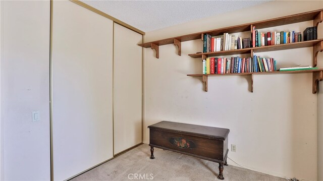 details featuring a textured ceiling and carpet floors