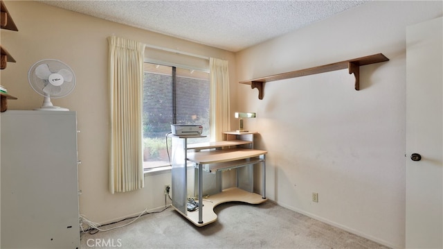 interior space featuring light carpet and a textured ceiling