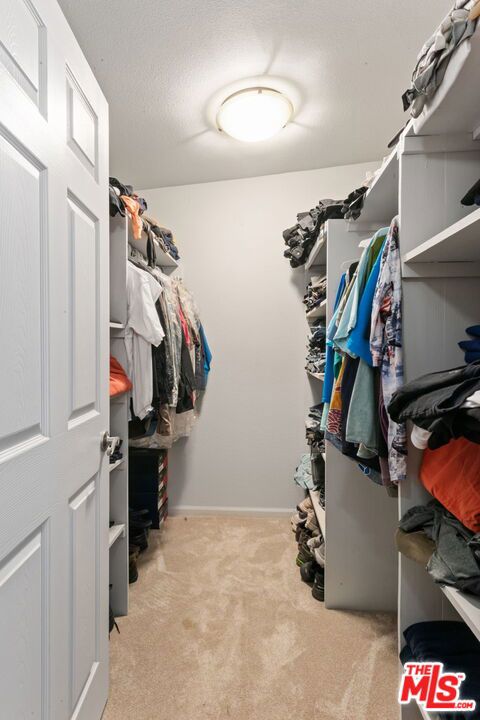 spacious closet with light carpet