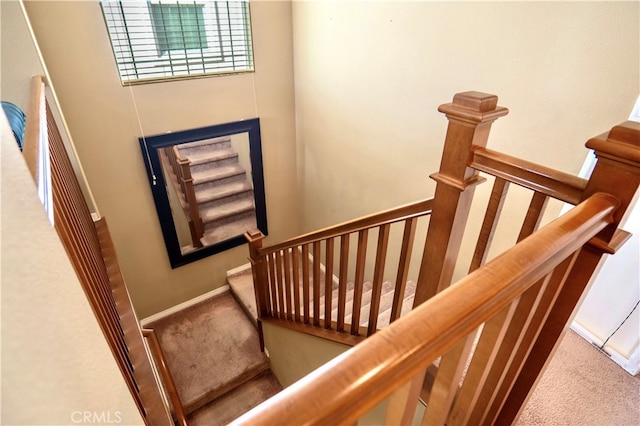 stairs with carpet floors