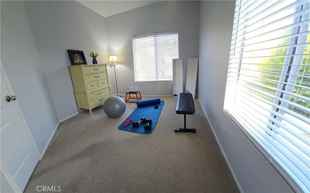 workout room featuring carpet flooring