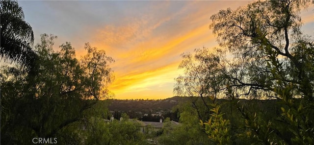 view of nature at dusk