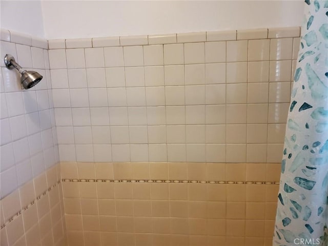 bathroom featuring a shower with shower curtain