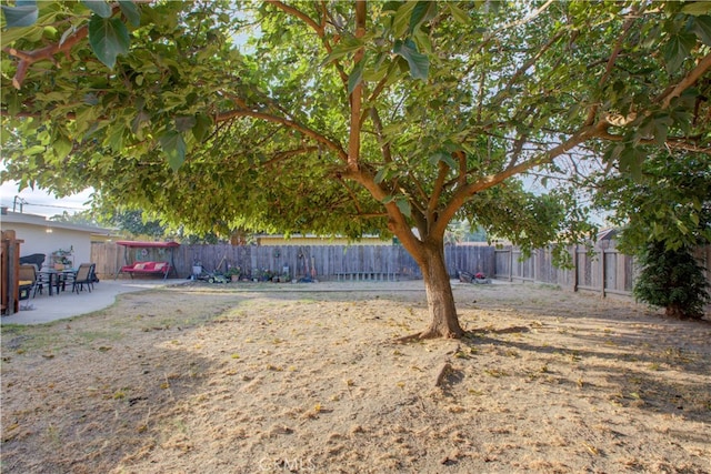 view of yard featuring a patio area