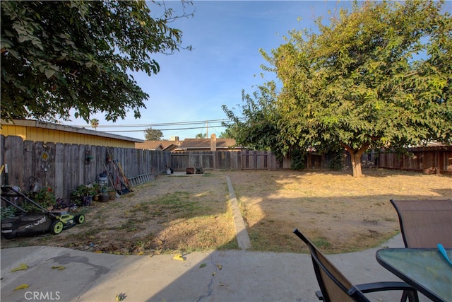 view of yard featuring a patio