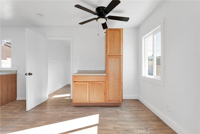 unfurnished room featuring light hardwood / wood-style floors, a wealth of natural light, and ceiling fan