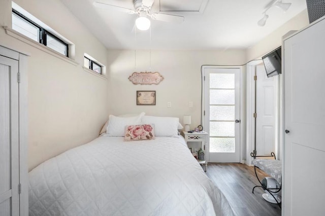 bedroom with multiple windows, rail lighting, hardwood / wood-style floors, and ceiling fan