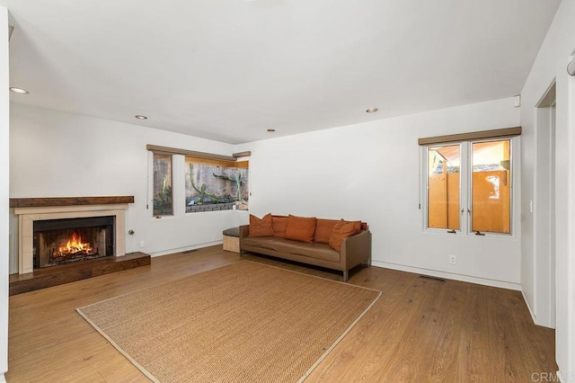 living room with hardwood / wood-style flooring