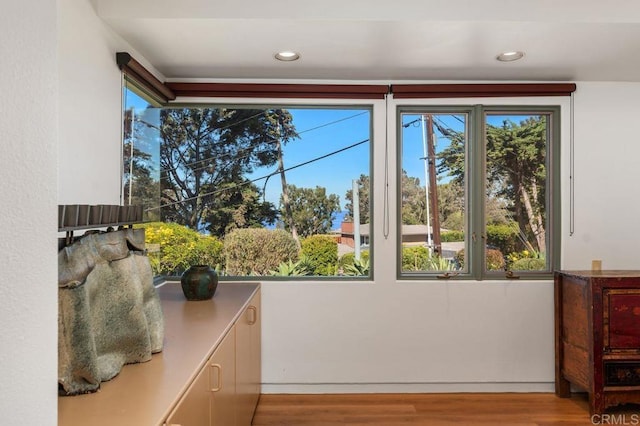 doorway featuring plenty of natural light and light hardwood / wood-style flooring