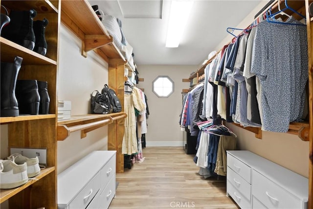 spacious closet with light wood-type flooring