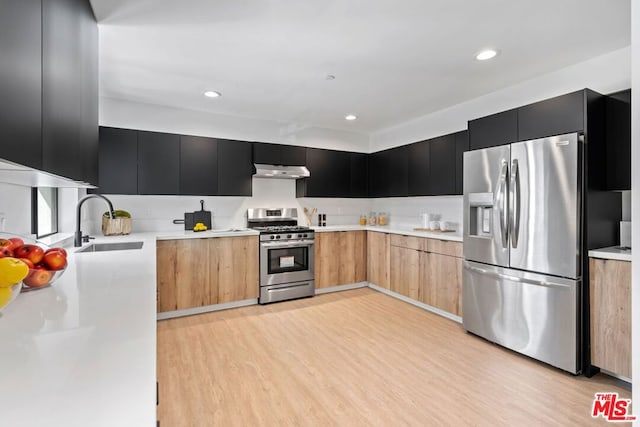 kitchen with light hardwood / wood-style floors, sink, and stainless steel appliances