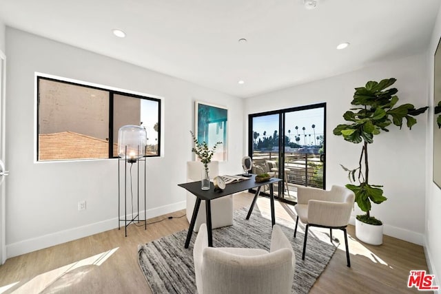 home office featuring light hardwood / wood-style flooring