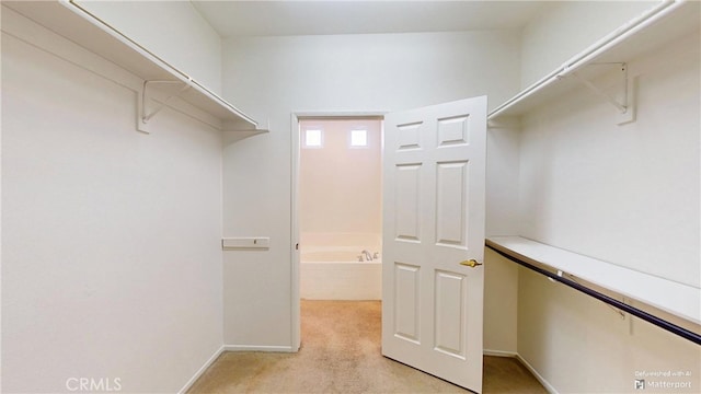 spacious closet with light carpet