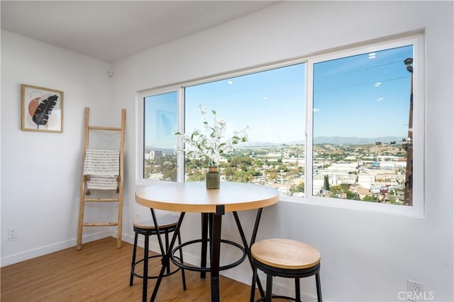 dining space featuring hardwood / wood-style flooring