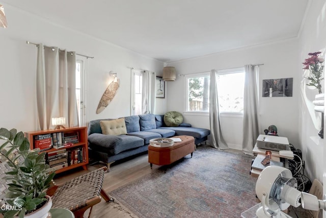 living room featuring crown molding and wood finished floors