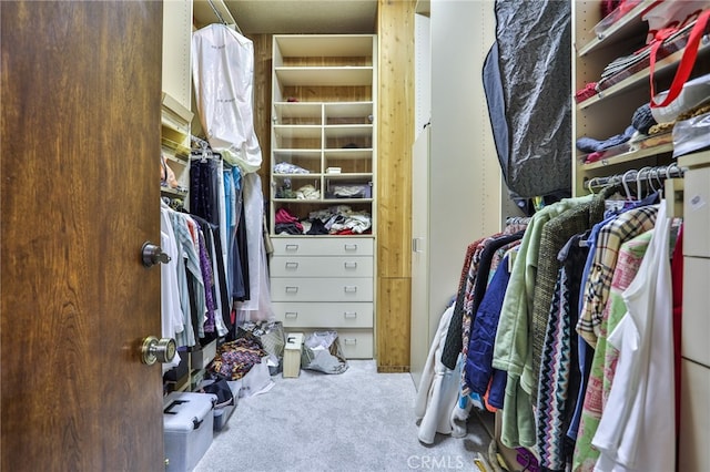 walk in closet with carpet