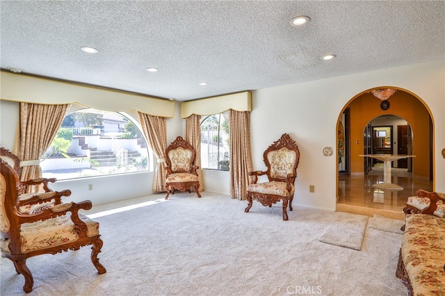 living area with a textured ceiling and carpet flooring