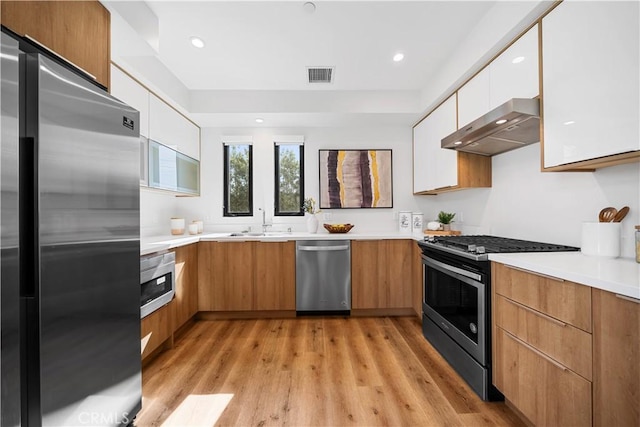 kitchen with appliances with stainless steel finishes, light wood-type flooring, ventilation hood, sink, and white cabinetry