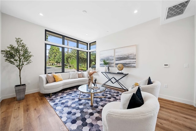 living room featuring hardwood / wood-style floors