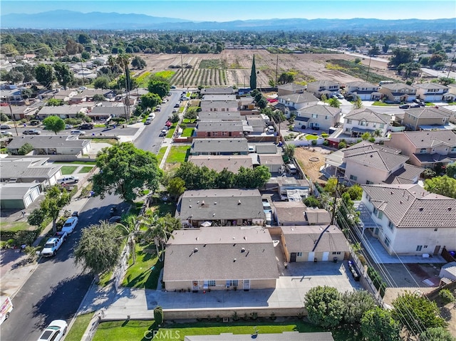 birds eye view of property featuring a mountain view