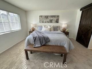 view of carpeted bedroom