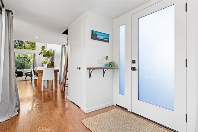 entrance foyer with light hardwood / wood-style flooring