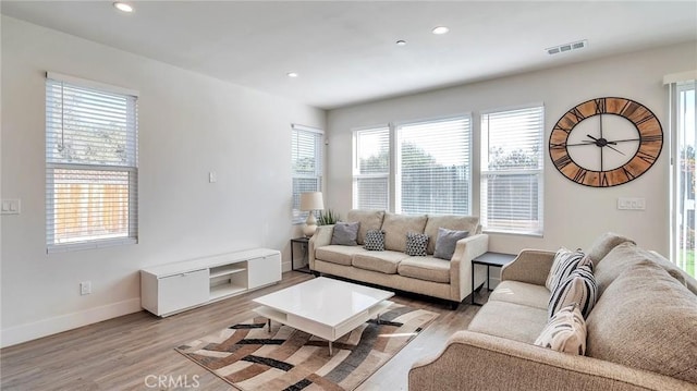 living room featuring light hardwood / wood-style floors and a wealth of natural light