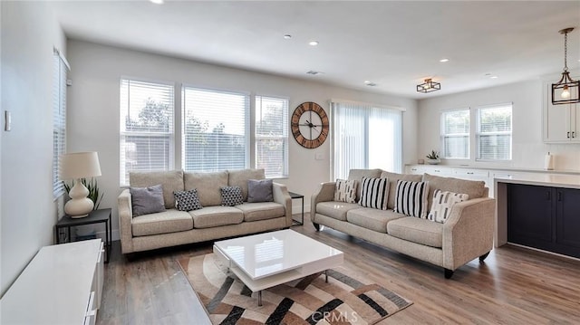 living room with a healthy amount of sunlight and hardwood / wood-style flooring