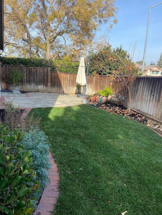 view of yard with a patio