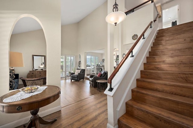 foyer with a towering ceiling and dark hardwood / wood-style floors