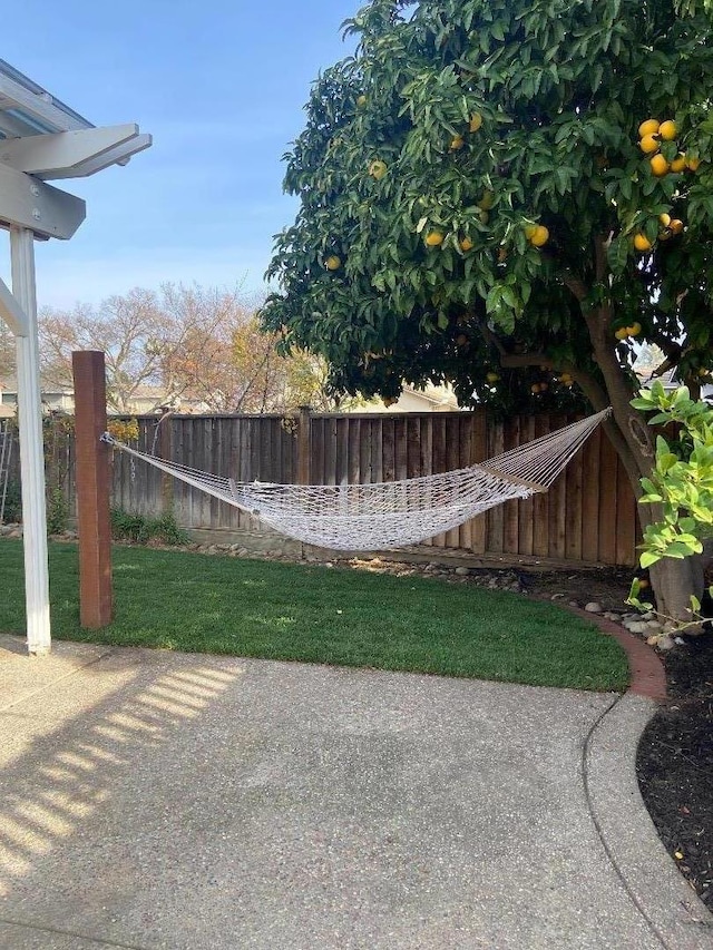 view of yard with a patio area