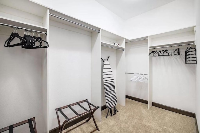 spacious closet with light colored carpet