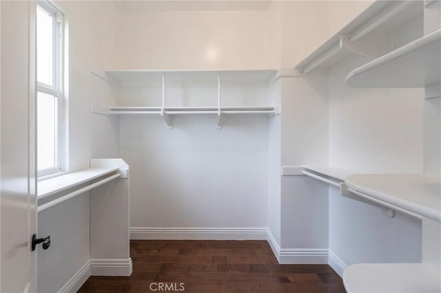 spacious closet featuring dark hardwood / wood-style flooring