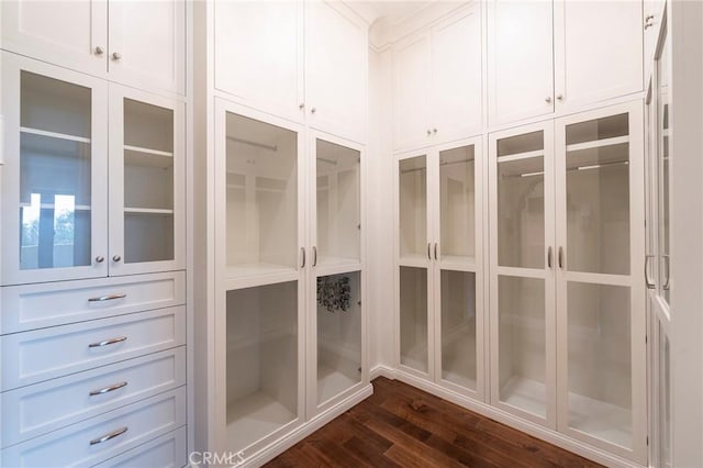 spacious closet featuring dark wood-type flooring