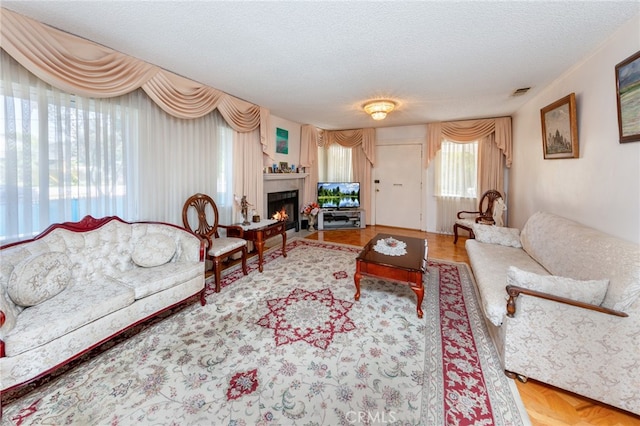 living room featuring a textured ceiling