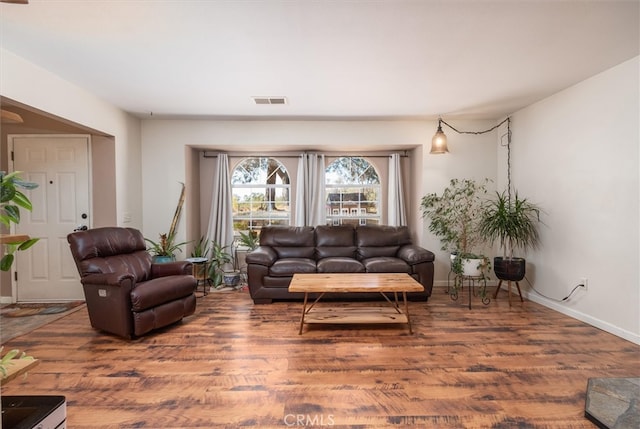 living room featuring wood-type flooring