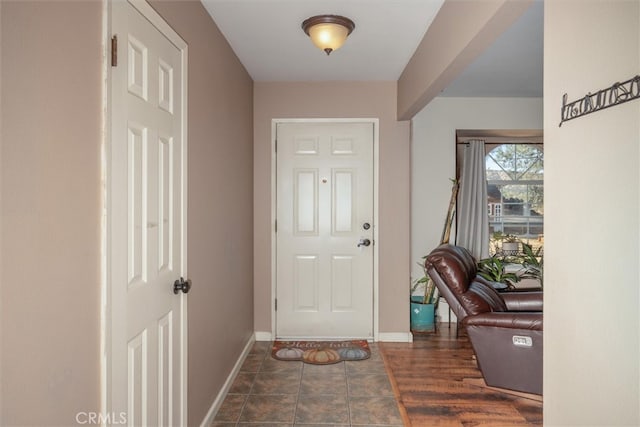 foyer entrance featuring dark wood-type flooring