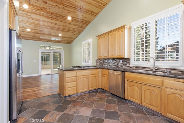 kitchen featuring wood ceiling, stainless steel appliances, sink, and a wealth of natural light