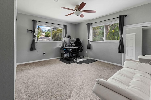 office area featuring carpet and ceiling fan