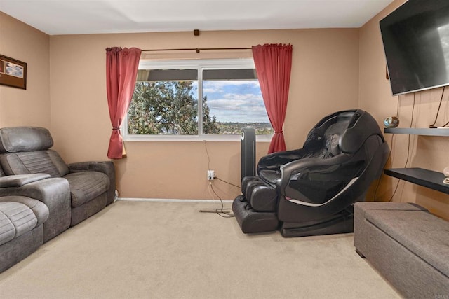 living area with light carpet