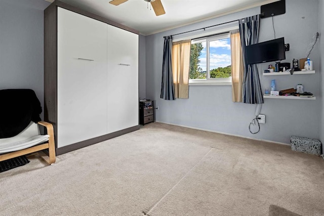 interior space featuring ceiling fan, carpet floors, and ornamental molding