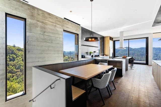 dining room with a mountain view and light hardwood / wood-style flooring